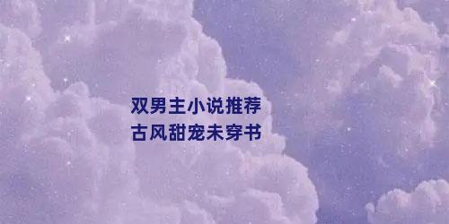 双男主小说推荐古风甜宠未穿书