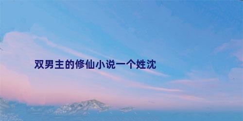 双男主的修仙小说一个姓沈