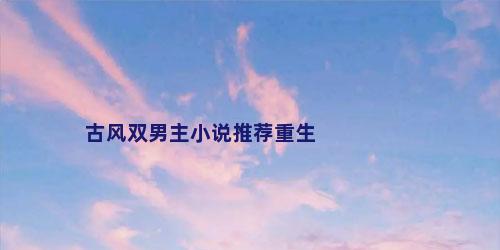 古风双男主小说推荐重生