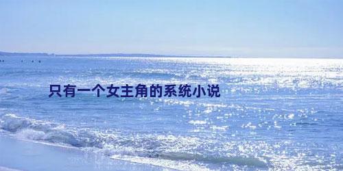 只有一个女主角的系统小说