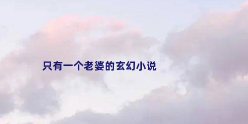 只有一个老婆的玄幻小说