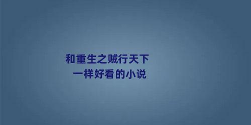 和重生之贼行天下一样好看的小说