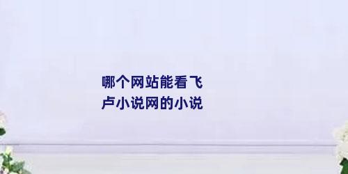 哪个网站能看飞卢小说网的小说