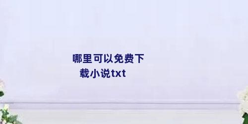 哪里可以免费下载小说txt