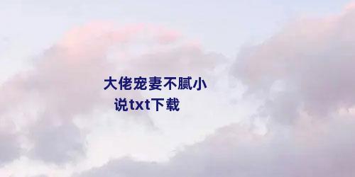 大佬宠妻不腻小说txt下载