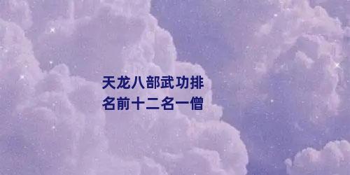 天龙八部武功排名前十二名一僧
