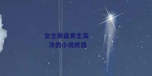 女主倒追男主高冷的小说校园