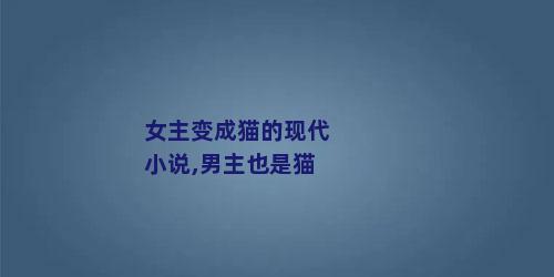 女主变成猫的现代小说,男主也是猫