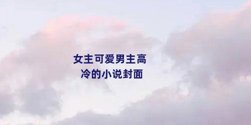 女主可爱男主高冷的小说封面