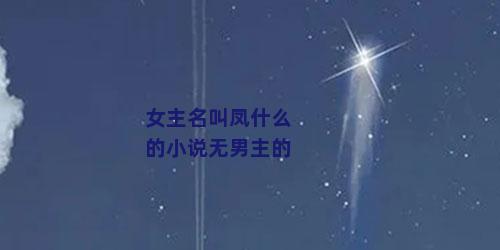 女主名叫凤什么的小说无男主的