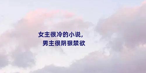 女主很冷的小说,男主很阴狠禁欲