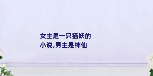女主是一只猫妖的小说,男主是神仙