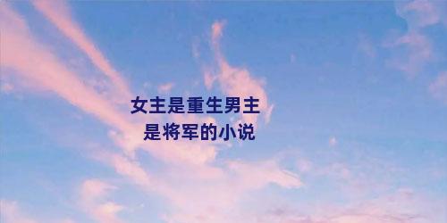 女主是重生男主是将军的小说