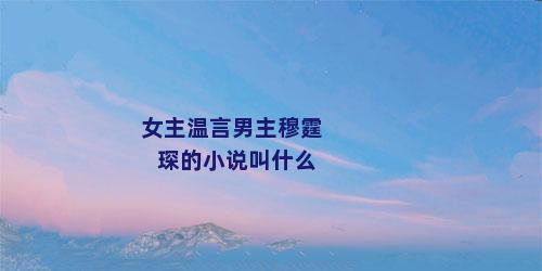 女主温言男主穆霆琛的小说叫什么