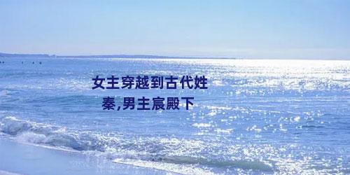 女主穿越到古代姓秦,男主宸殿下
