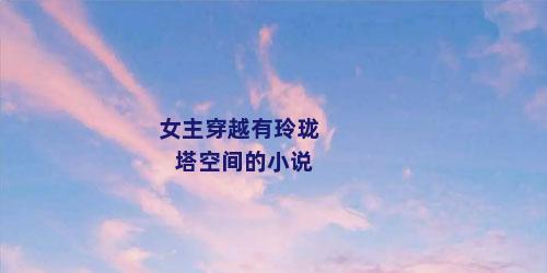 女主穿越有玲珑塔空间的小说