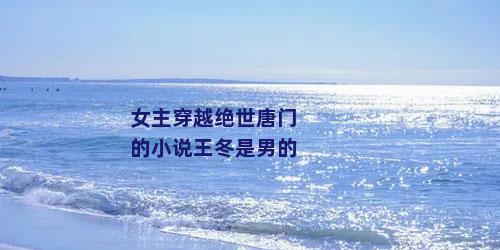 女主穿越绝世唐门的小说王冬是男的