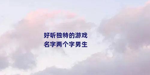 好听独特的游戏名字两个字男生
