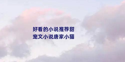 好看的小说推荐甜宠文小说唐家小猫