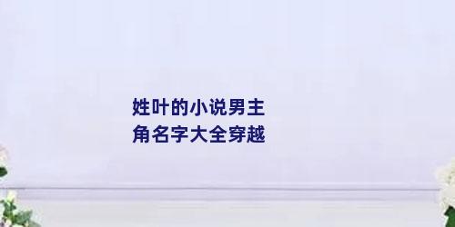 姓叶的小说男主角名字大全穿越