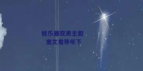 娱乐圈双男主甜宠文推荐年下
