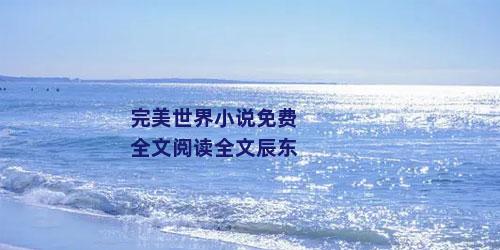 完美世界小说免费全文阅读全文辰东