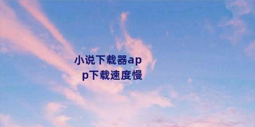 小说下载器app下载速度慢