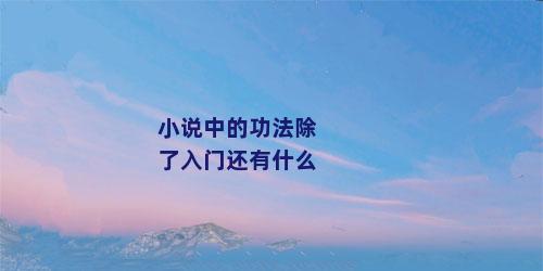 小说中的功法除了入门还有什么