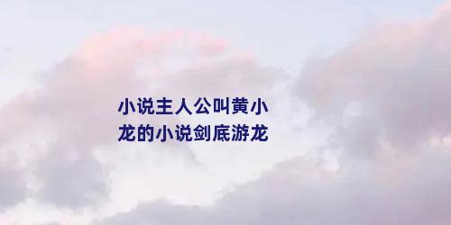 小说主人公叫黄小龙的小说剑底游龙