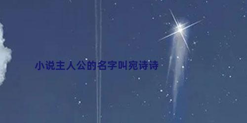 小说主人公的名字叫宛诗诗