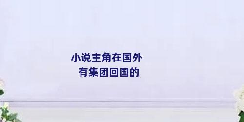 小说主角在国外有集团回国的