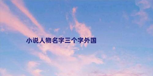 小说人物名字三个字外国