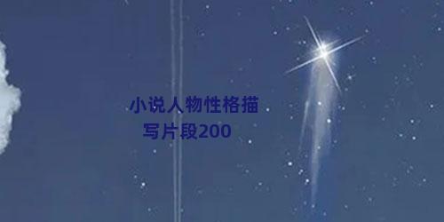 小说人物性格描写片段200