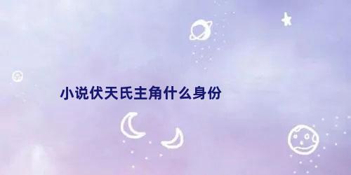 小说伏天氏主角什么身份