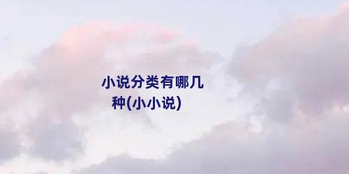 小说分类有哪几种(小小说)
