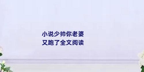 小说少帅你老婆又跑了全文阅读