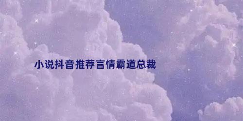 小说抖音推荐言情霸道总裁