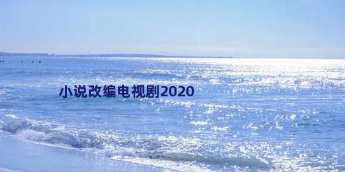 小说改编电视剧2020