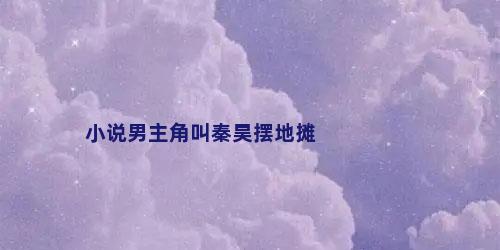 小说男主角叫秦昊摆地摊