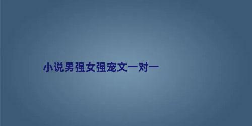 小说男强女强宠文一对一