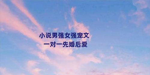 小说男强女强宠文一对一先婚后爱