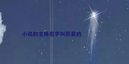 小说的主角名字叫苏莫的