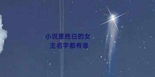 小说里姓白的女主名字都有谁