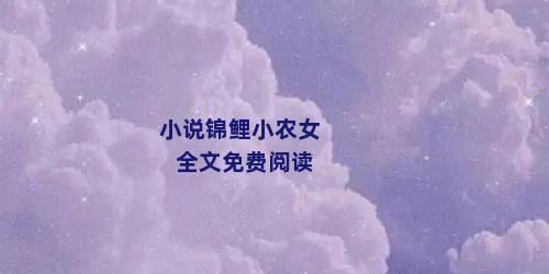 小说锦鲤小农女全文免费阅读