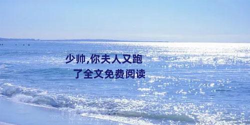 少帅,你夫人又跑了全文免费阅读