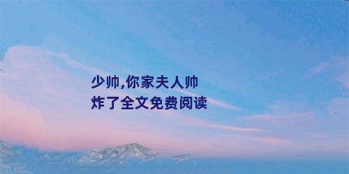 少帅,你家夫人帅炸了全文免费阅读