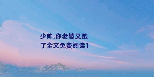 少帅,你老婆又跑了全文免费阅读1