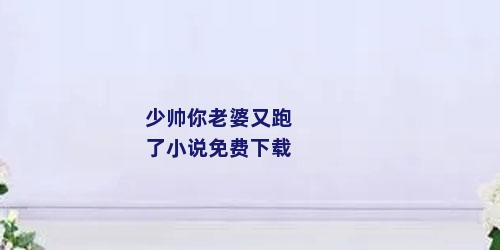 少帅你老婆又跑了小说免费下载