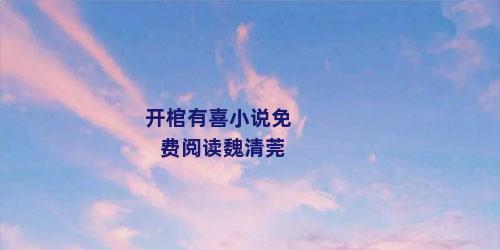 开棺有喜小说免费阅读魏清莞