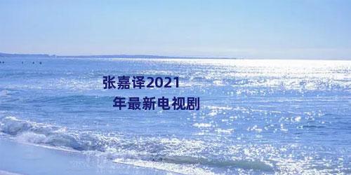 张嘉译2021年最新电视剧